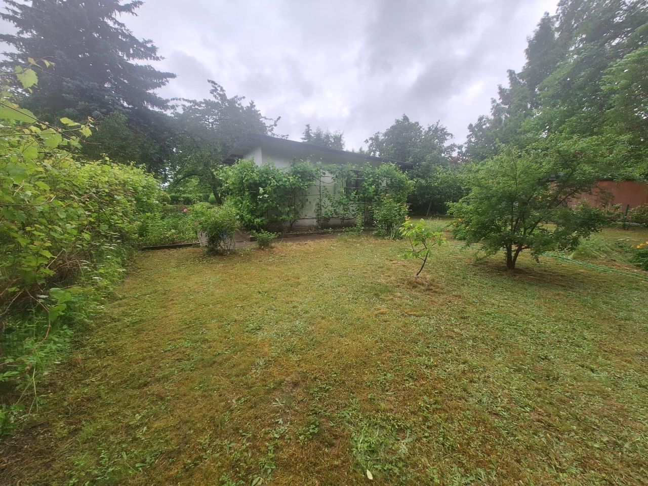 Działka rod Świdnica Łochowo