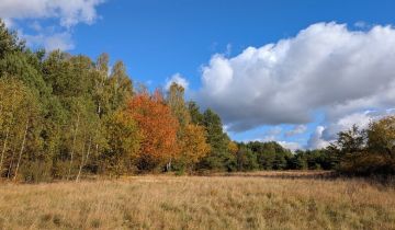 Działka siedliskowa Czarnowiec