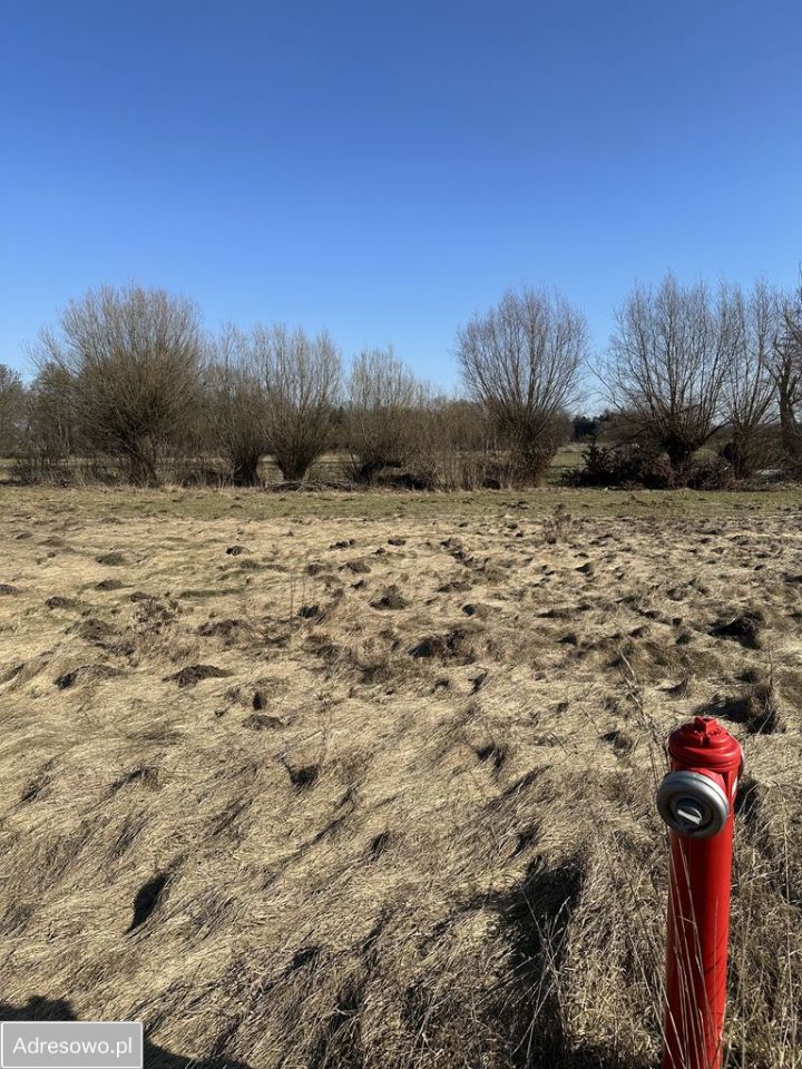 Działka budowlana Bruliny. Zdjęcie 3