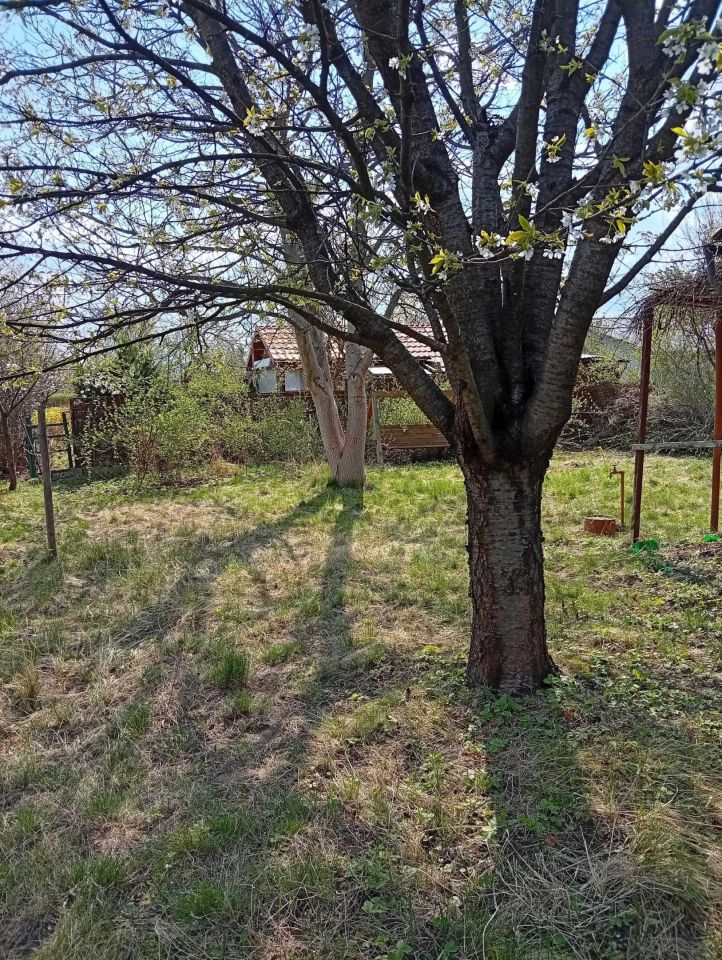 Działka rod Rzeszów. Zdjęcie 2