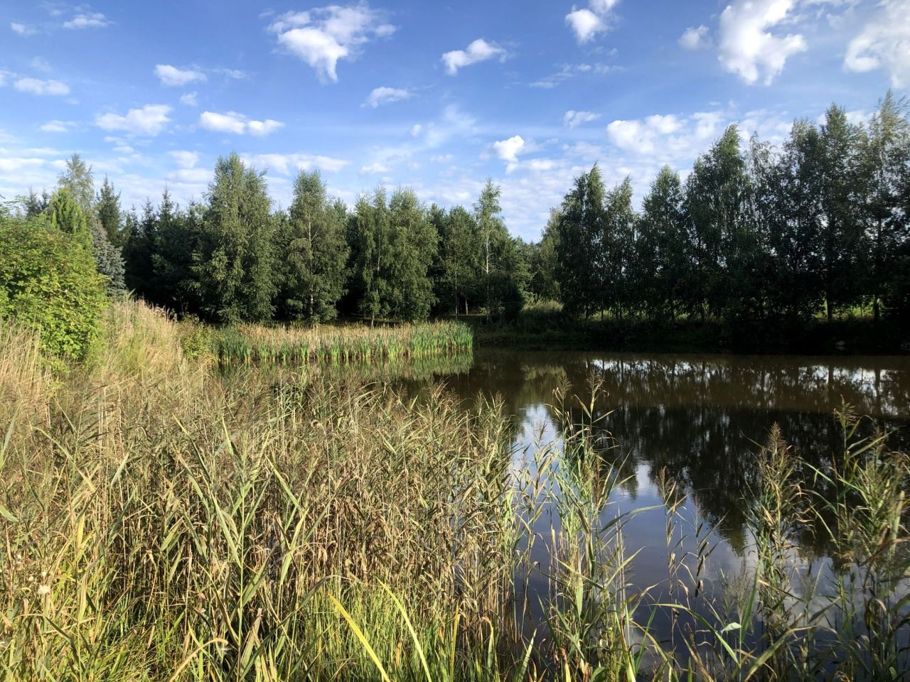 dom wolnostojący, 5 pokoi Dębowo. Zdjęcie 6
