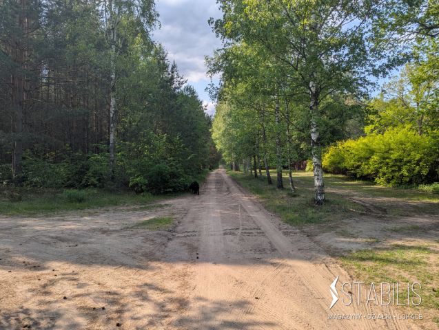 Działka budowlana Grzybowce. Zdjęcie 4