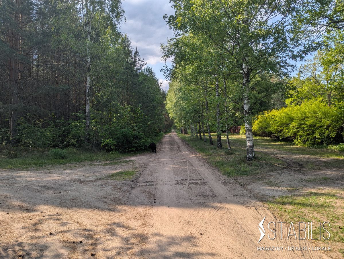 Działka budowlana Grzybowce. Zdjęcie 4