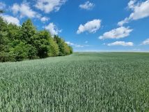 Działka budowlana Oborniki Śląskie, ul. Wolności. Zdjęcie 4