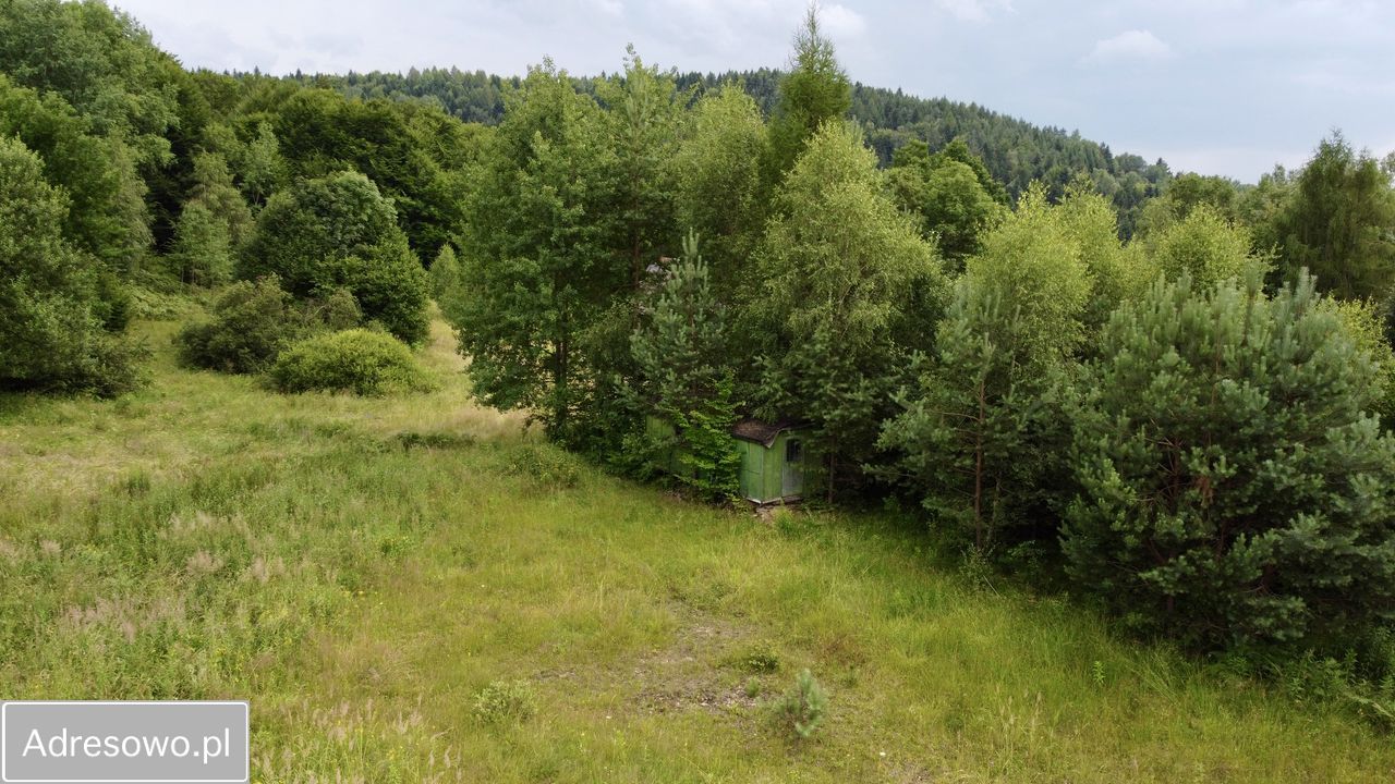 Działka inwestycyjna Pcim. Zdjęcie 2