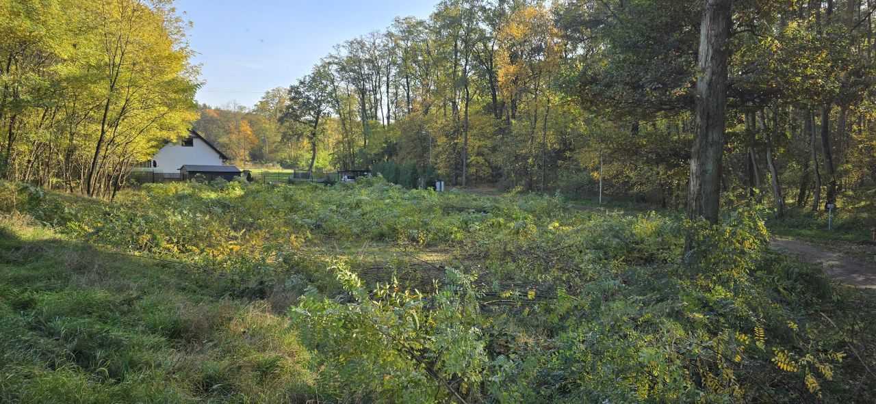 Działka budowlana Nowy Świat, ul. Rubinowa. Zdjęcie 5