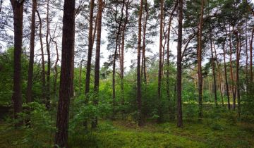 Działka budowlana Żarki-Letnisko, ul. Grunwaldzka