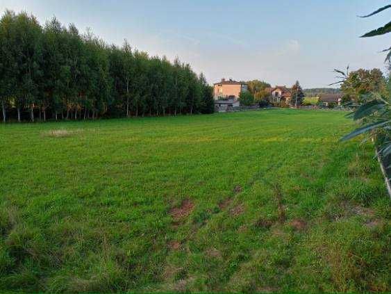 Działka budowlana Pustkowie Lgockie. Zdjęcie 5