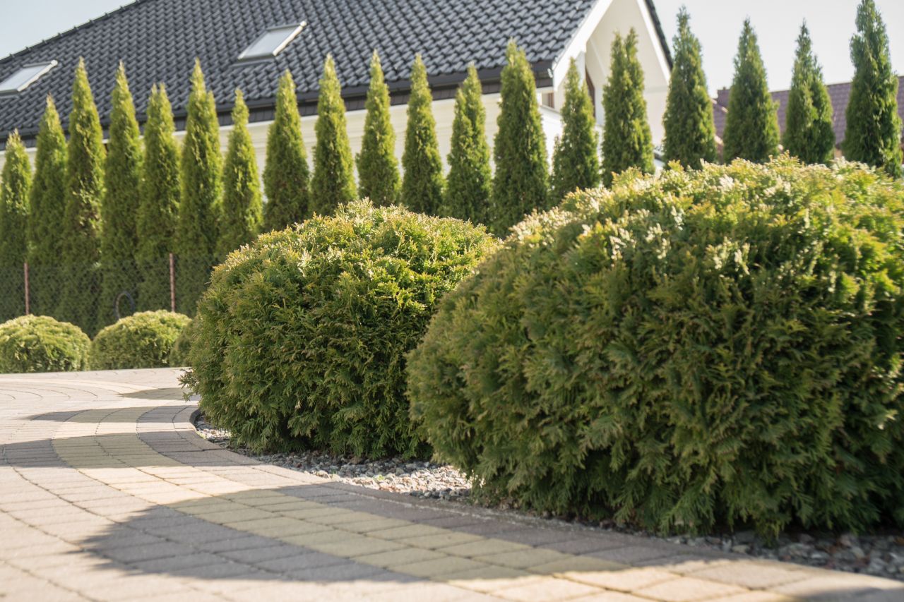 dom wolnostojący, 4 pokoje Wysokie Mazowieckie, ul. Władysława Pelca. Zdjęcie 13