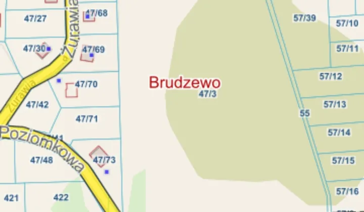 Działka rolna Brudzewo, ul. Myśliwska