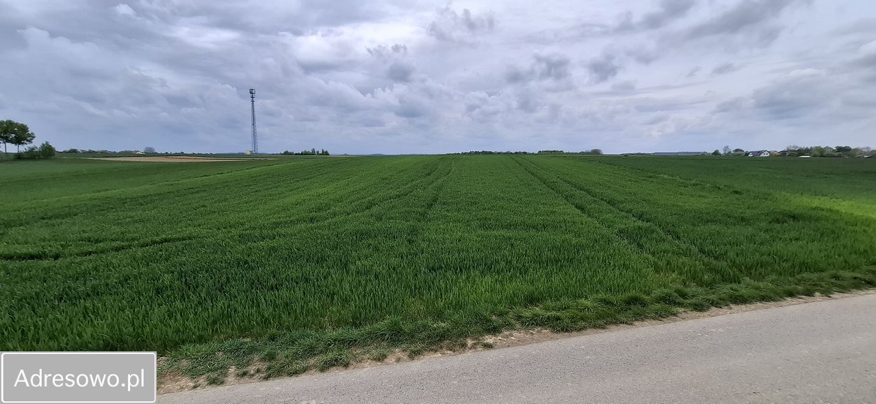Działka rolna Wysocice Wiktorka. Zdjęcie 4