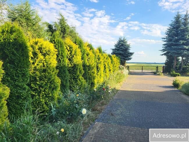 dom wolnostojący, 5 pokoi Żukowice. Zdjęcie 2