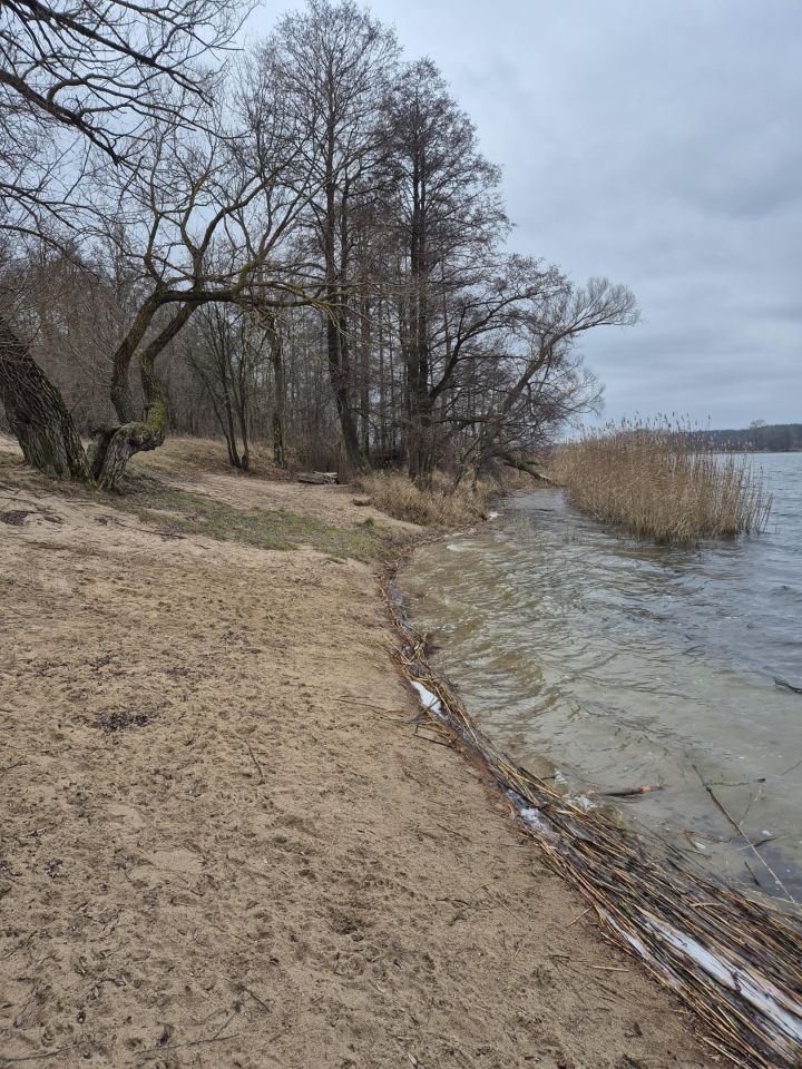 Działka rolna Nawiady. Zdjęcie 17