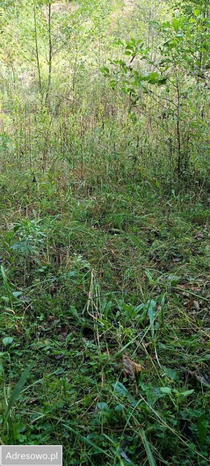 Działka Wyżne. Zdjęcie 8