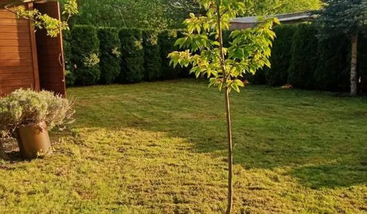 Działka rod Miłosław