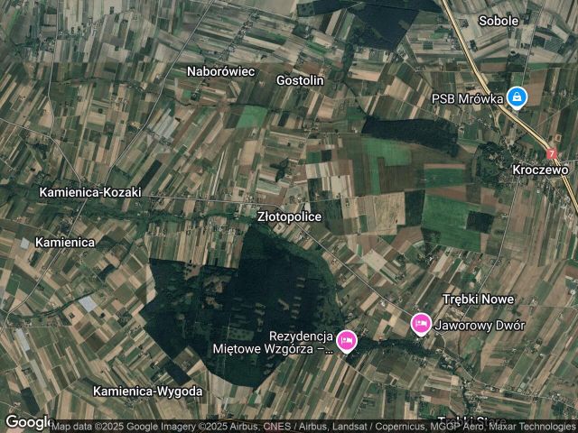 Działka rolno-budowlana Złotopolice. Zdjęcie 1