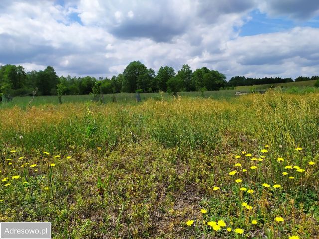Działka rekreacyjna Pstrokonie. Zdjęcie 1