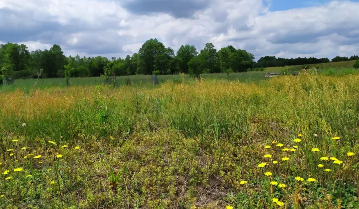 Działka rekreacyjna Pstrokonie