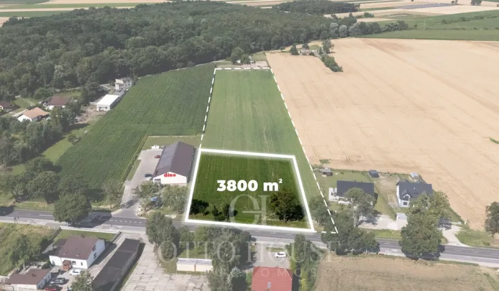 Działka inwestycyjna Szewce, ul. Bukowska