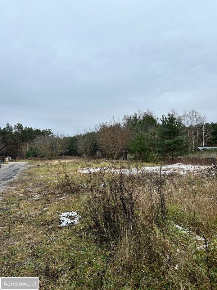 Działka budowlana Wola Aleksandra, ul. Wolska. Zdjęcie 15