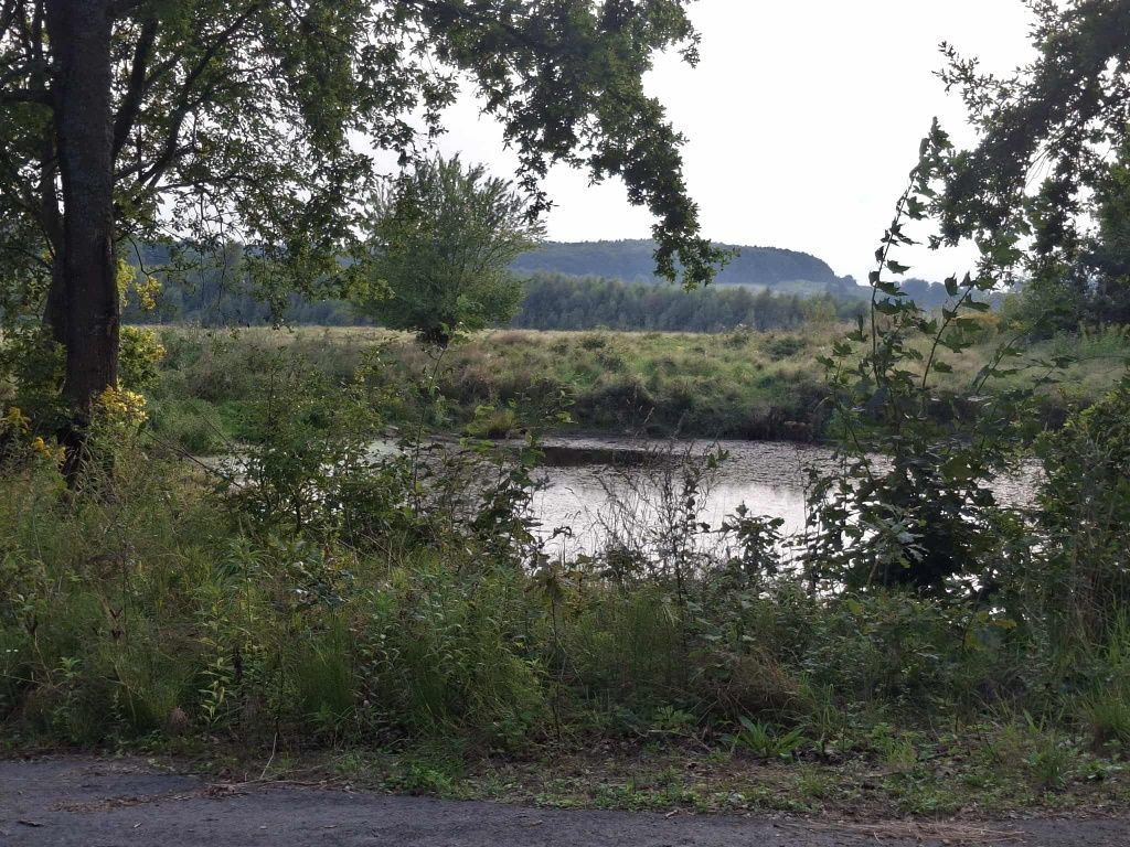 Mieszkanie 1-pokojowe Bądki. Zdjęcie 5