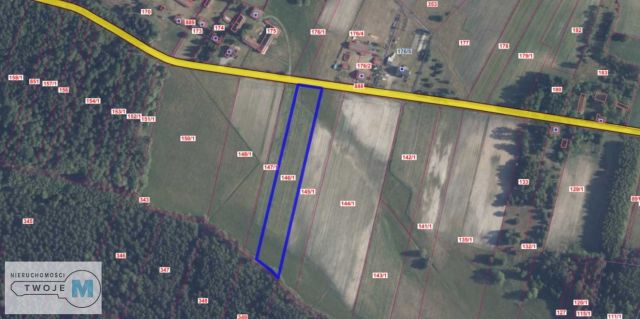 Działka rekreacyjna Kluczewsko. Zdjęcie 2