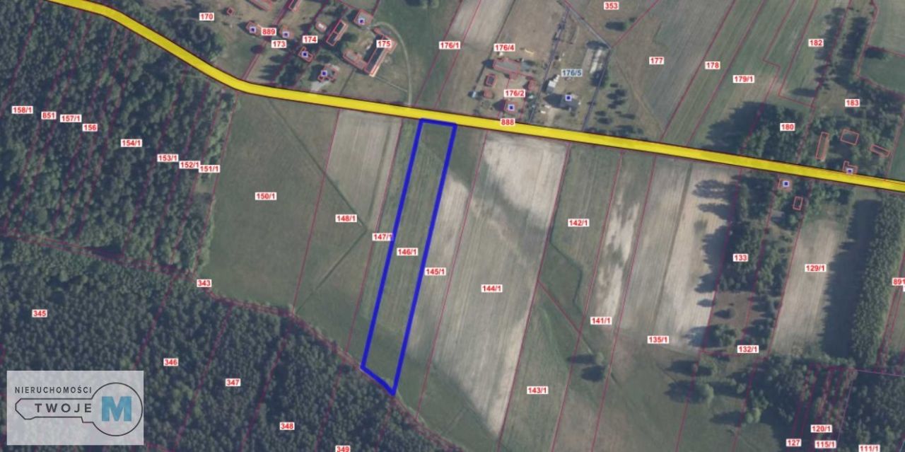 Działka rekreacyjna Kluczewsko. Zdjęcie 2