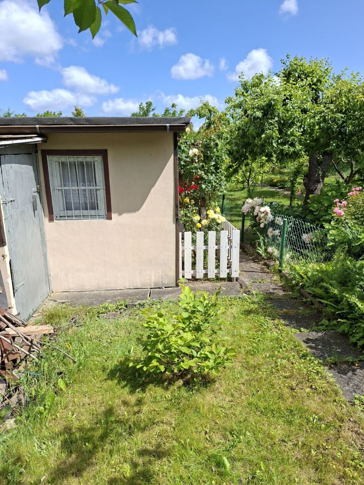 Działka rod Kwidzyn. Zdjęcie 2