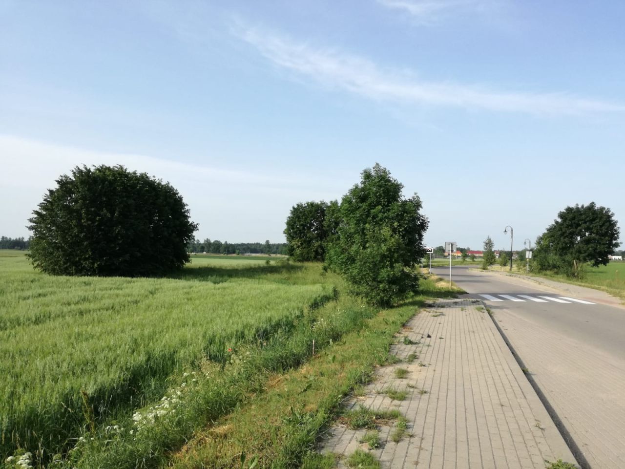 Działka rolno-budowlana Krupin. Zdjęcie 6