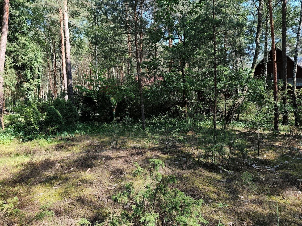 Działka inna Huta Podgórna, ul. Leśna. Zdjęcie 17