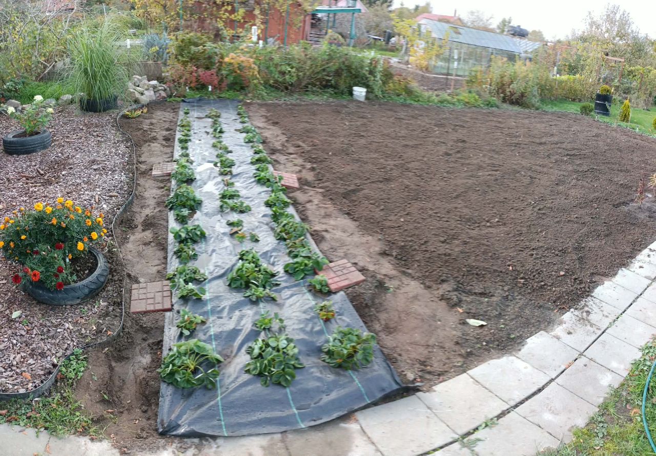 Działka rod Bierkowo, Brak.. Zdjęcie 7