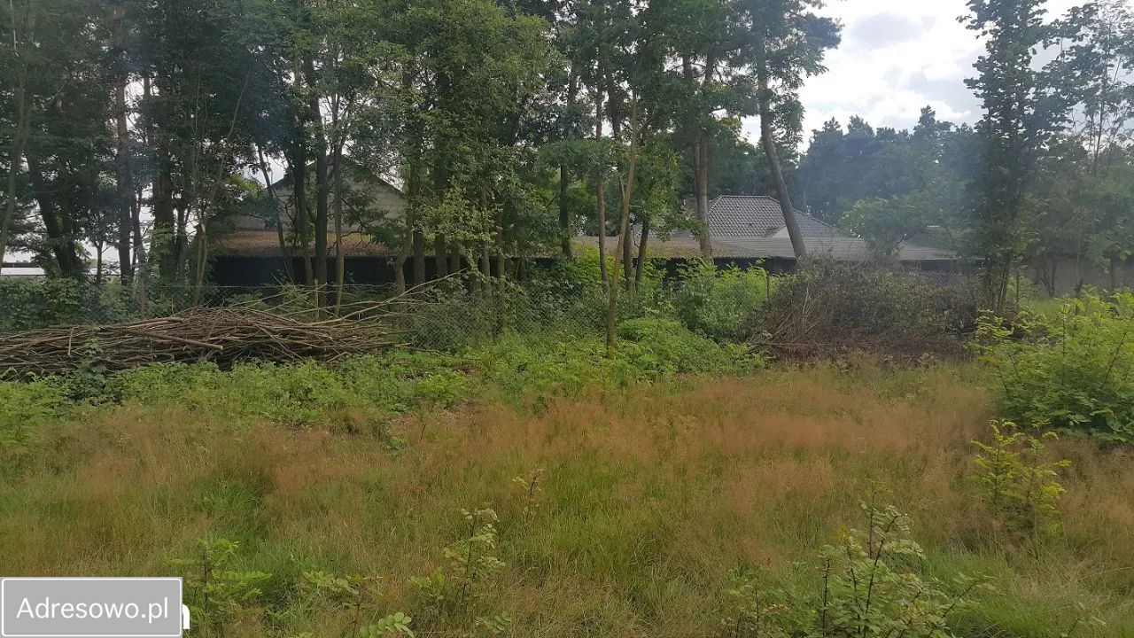 Działka rolno-budowlana Grodnia. Zdjęcie 3