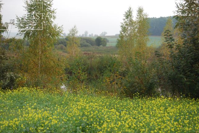 dworek, 5 pokoi Gołębiewo Wielkie, ul. Różana. Zdjęcie 15