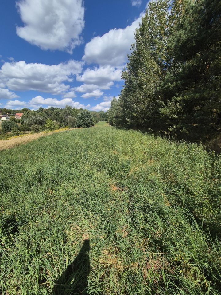 Działka budowlana Dziurów Warszawka, ul. Spadowa. Zdjęcie 2