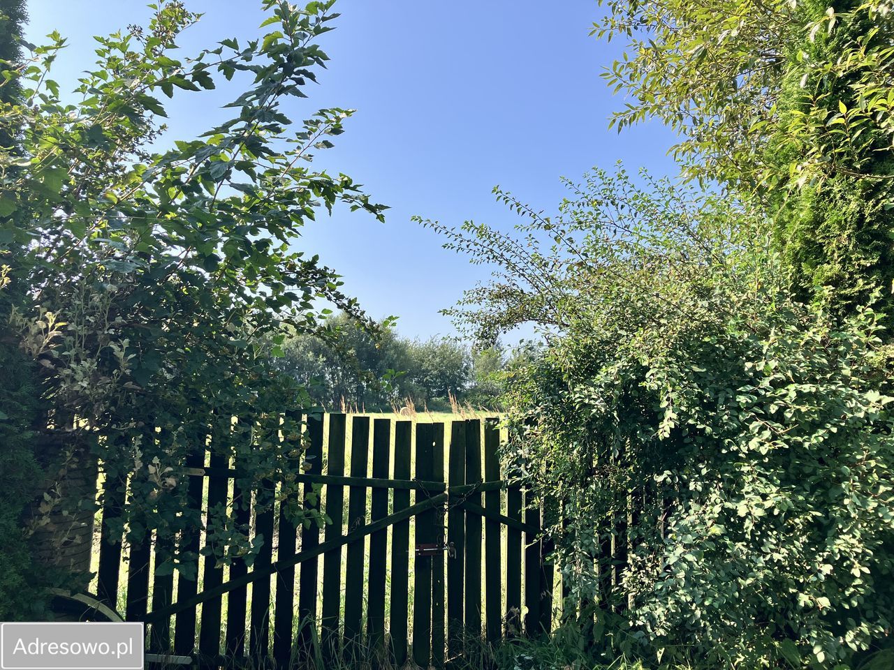 Działka rolna Komarowo. Zdjęcie 3