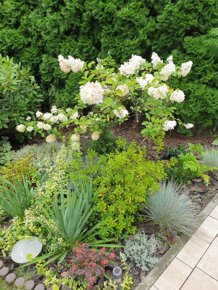 Działka rod Warszawa Wawer, ul. Trakt Lubelski. Zdjęcie 7