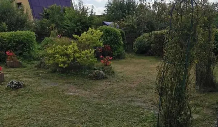 Działka rod Wolbrom