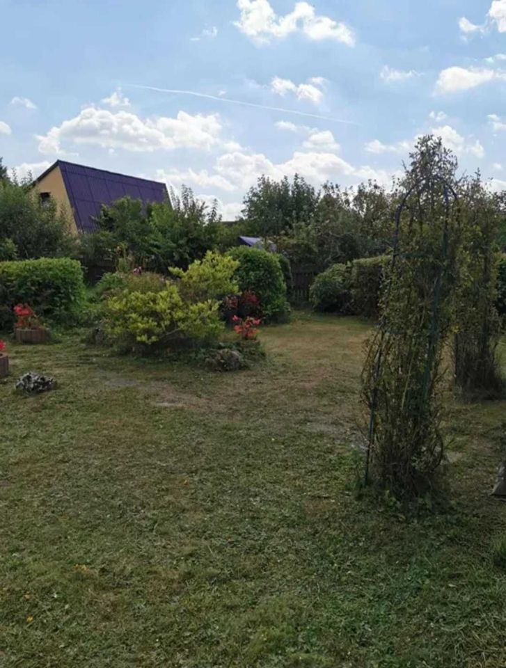 Działka rod Wolbrom. Zdjęcie 1