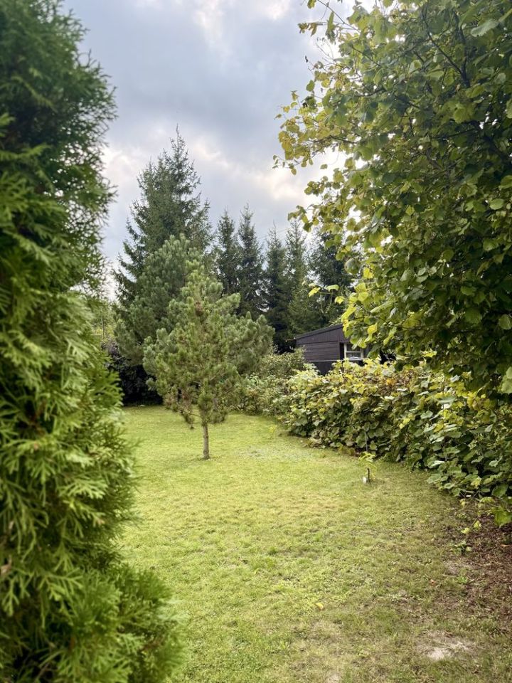 Działka rod Ciechanów. Zdjęcie 2