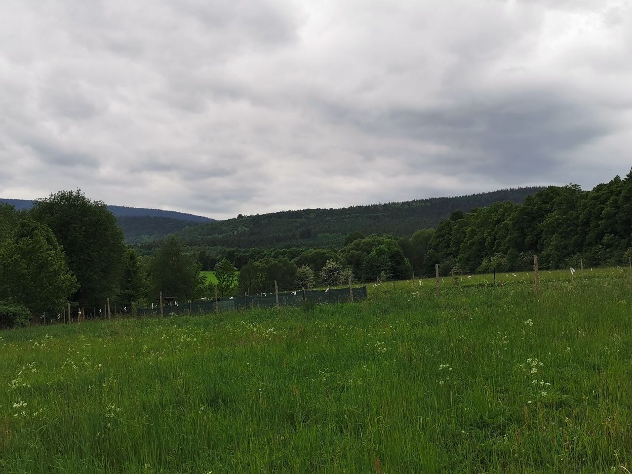 Działka budowlana Bystrzyca Kłodzka. Zdjęcie 3