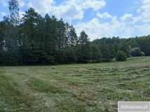 Działka rolna Budno. Zdjęcie 1