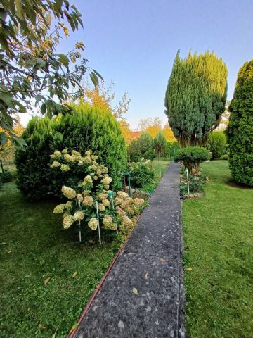 Działka rekreacyjna Szczecin Krzekowo, ul. Waleriana Łukasińskiego. Zdjęcie 1