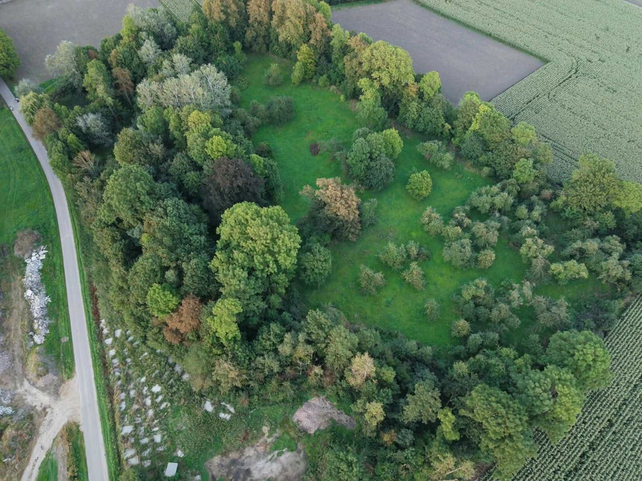 Działka rolna Wiśniewo. Zdjęcie 6