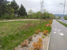 Działka inwestycyjna Wałbrzych, ul. Piotra Wysockiego. Zdjęcie 2