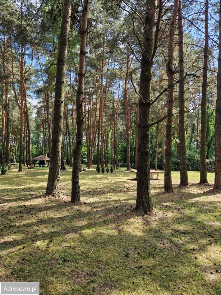 Działka rekreacyjna Siewierz, ul. Rybacka