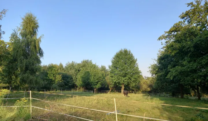 Działka rolna Chrosna