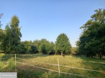 Działka rolna Chrosna