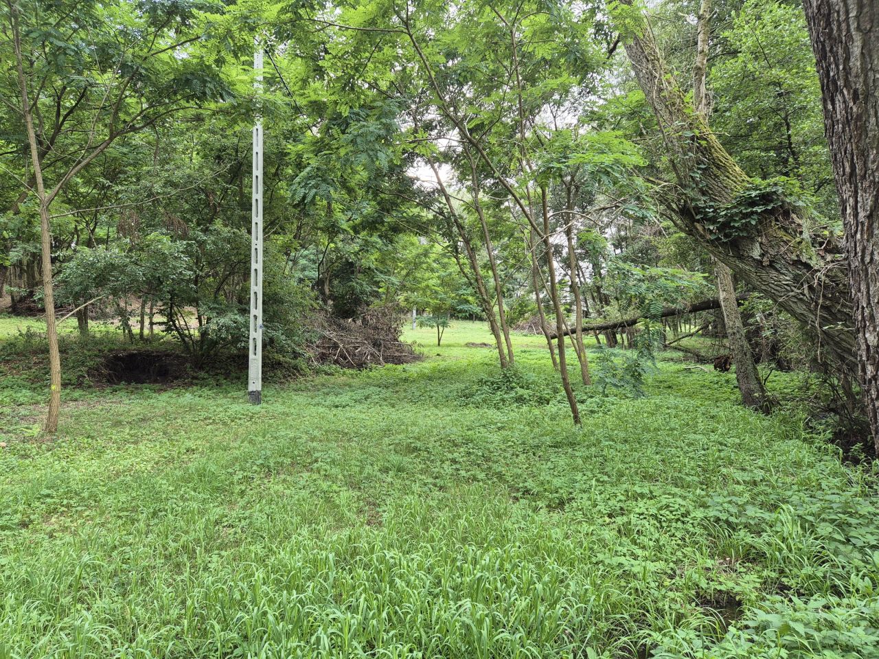 Działka rolno-budowlana Zgoda. Zdjęcie 8