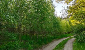 Działka leśna Włocin-Kolonia