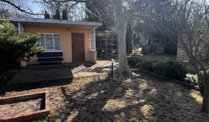 Działka rod Pleszew, ul. Armii Poznań